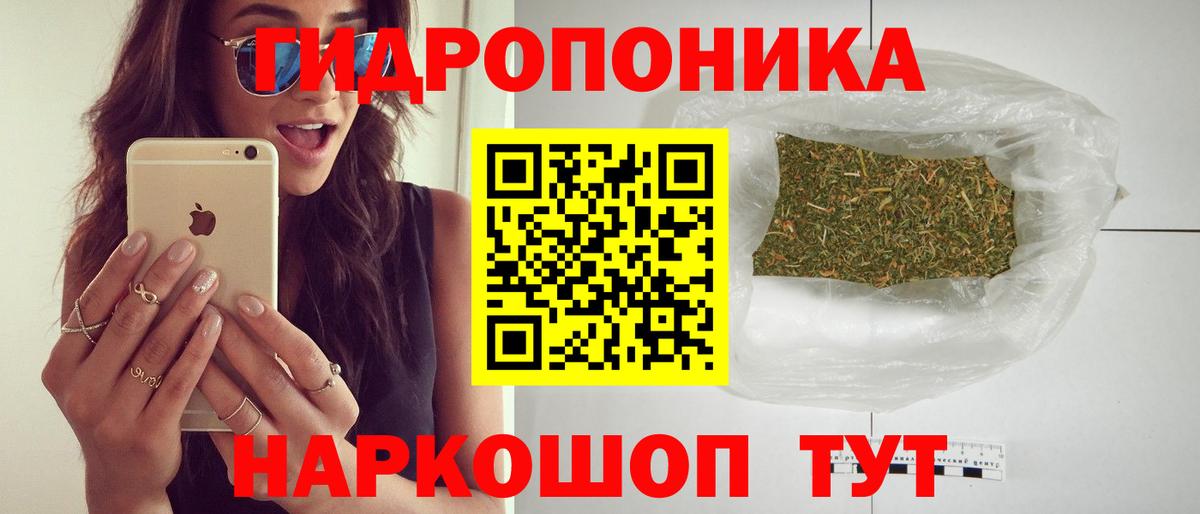 Конопля SATIVA & INDICA  Бошки марихуана конопля  Вход с VPN  Бошки марихуана семена  Михайловск 